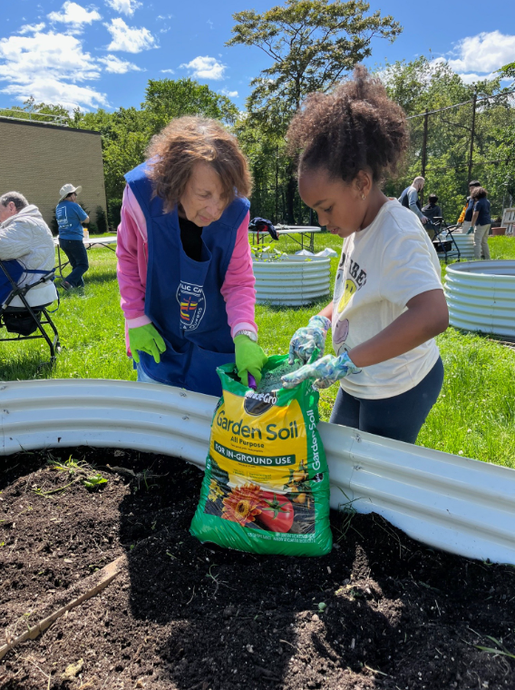 Garden Cleanup 4 Garden Cleanup 4