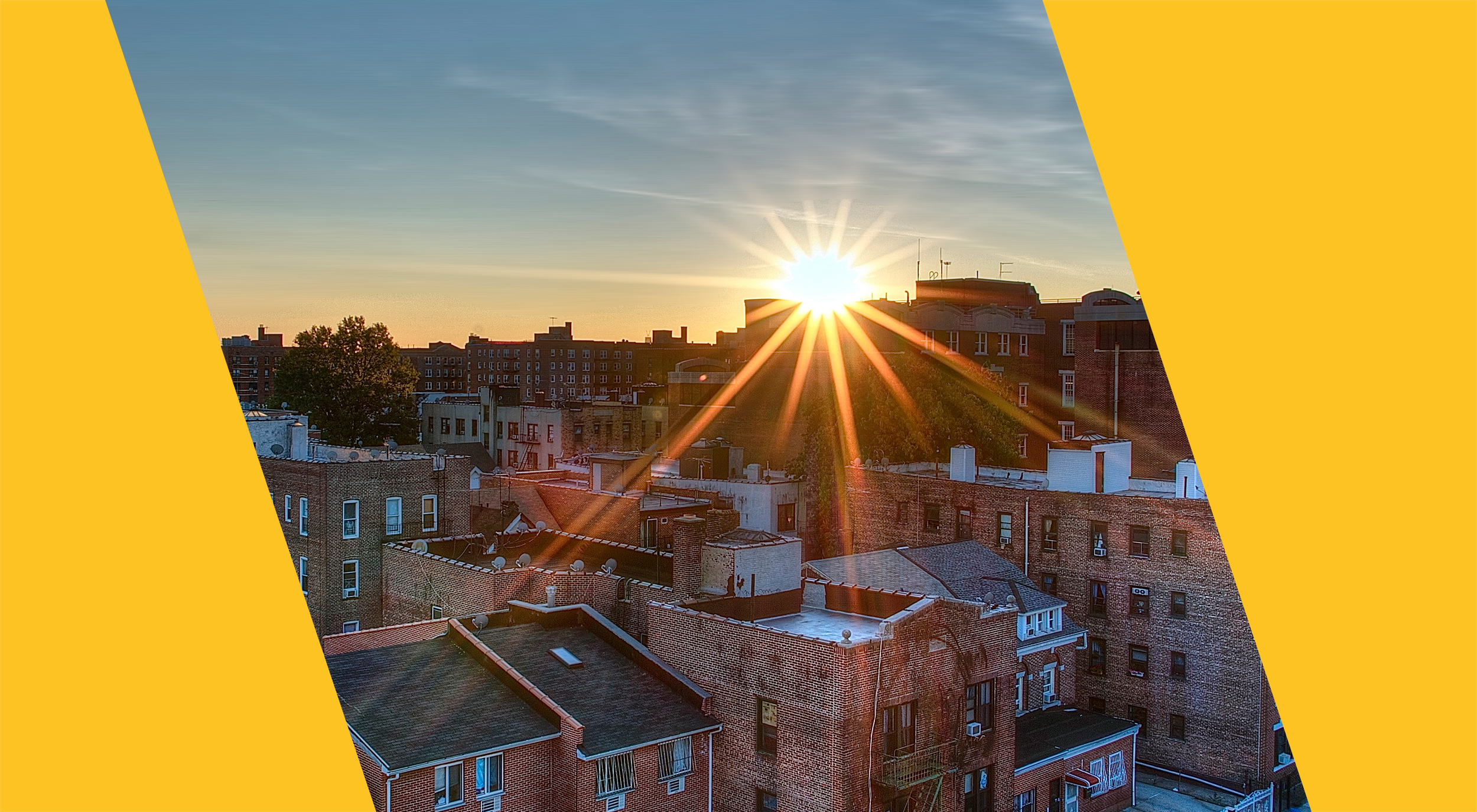 Volunteers in brooklyn